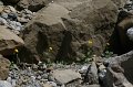 2010_08_16_gavarnie_ 284
